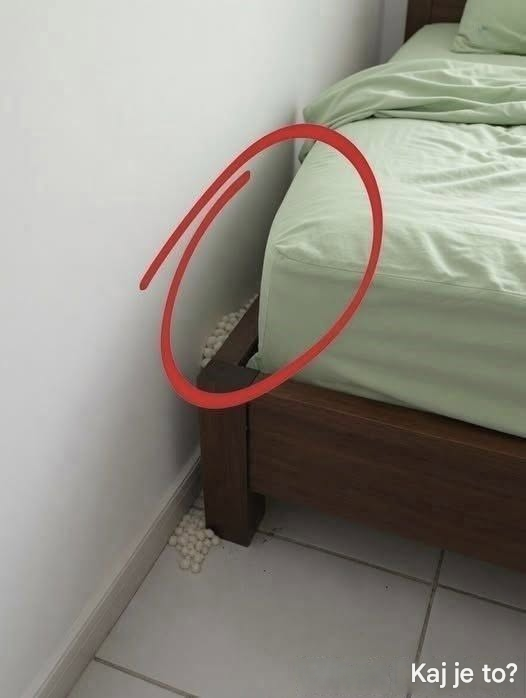 Izčrpan sem prišel domov in našel čudne predmete, ki so se izkazali za kuščarska jajca