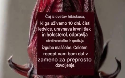 Čaj iz hibiskusa: Naravna pijača, ki jo mnogi ljudje pijejo 10 dni, da se počutijo lažje in osvežene