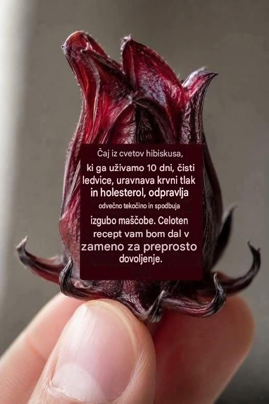 Čaj iz hibiskusa: Naravna pijača, ki jo mnogi ljudje pijejo 10 dni, da se počutijo lažje in osvežene