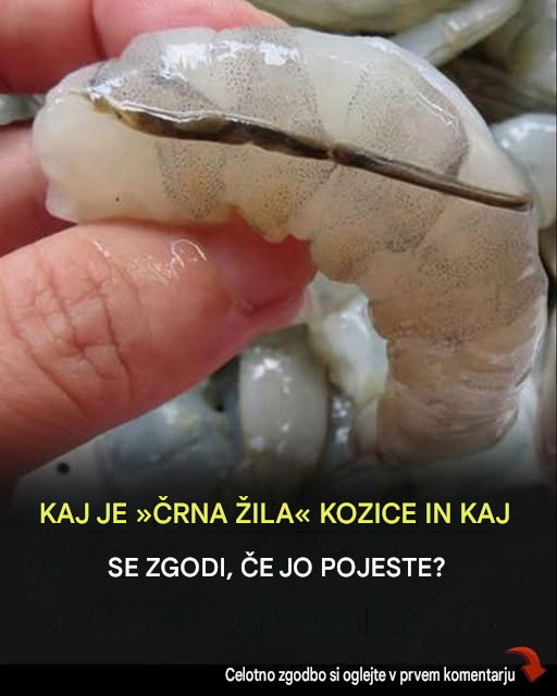 Kaj se zgodi, če pojeste črno žilo v repu kozice?