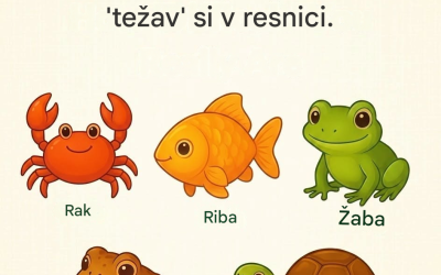 Katera žival ne spada