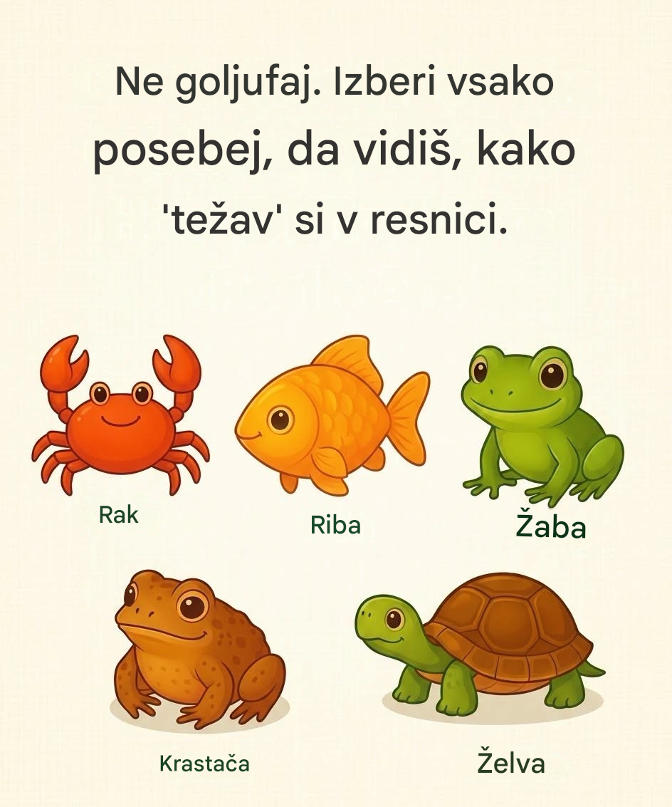 Katera žival ne spada