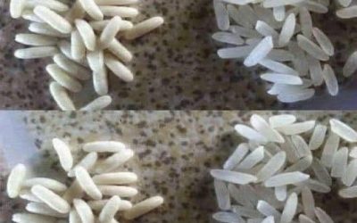 KAKO PREPOZNATI PLASTIČNI RIŽ: POPOLN IN PREPROST VODNIK ZA NEGO