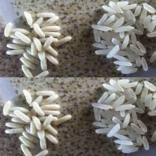KAKO PREPOZNATI PLASTIČNI RIŽ: POPOLN IN PREPROST VODNIK ZA NEGO