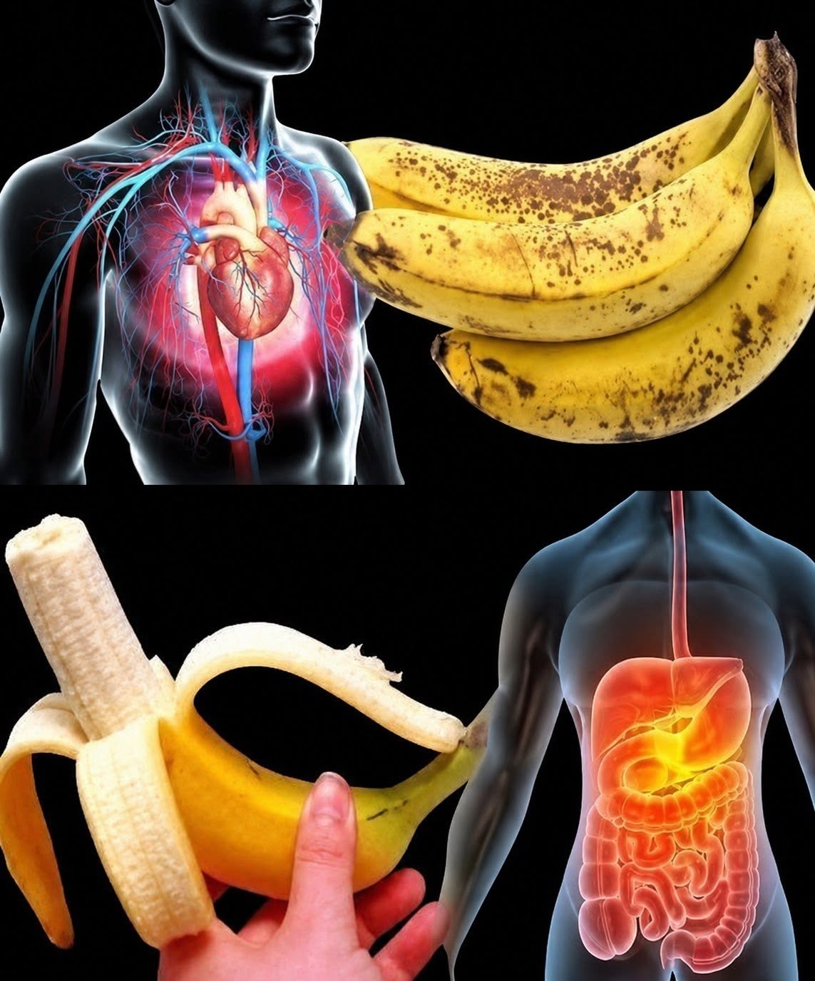Kaj zdravniki pravijo o uživanju banan in njihovih učinkih na telo