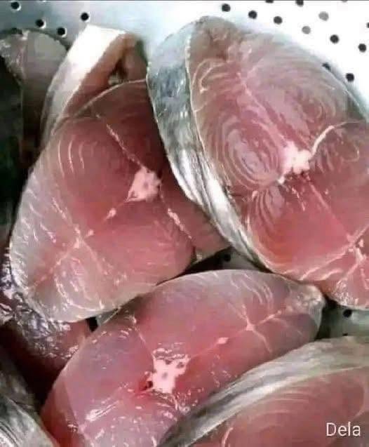 JEJTE RIBE: TO SO KORISTI ZA ZDRAVJE, KI VAM LAHKO PRINESEJO