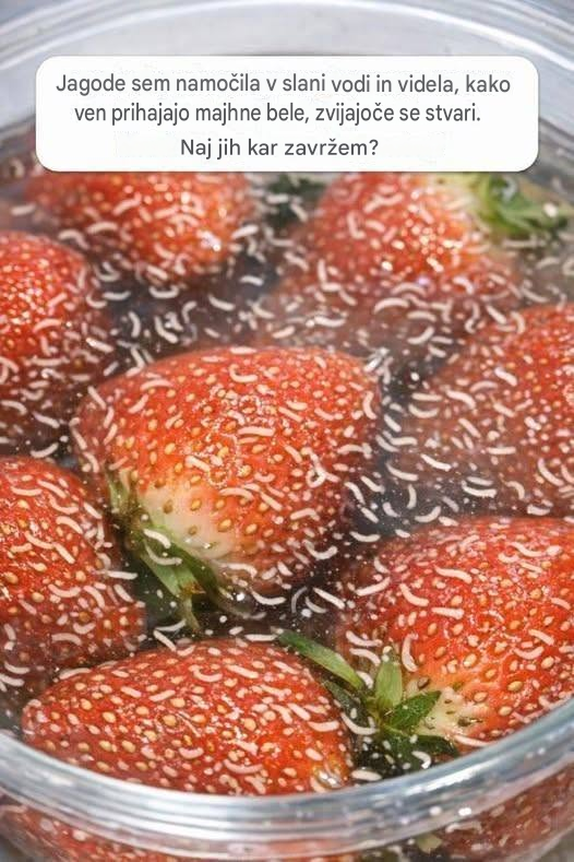Jagode sem namočila v slani vodi in videla, kako ven prihajajo majhne bele, zvite stvari. Naj jih preprosto zavržem?