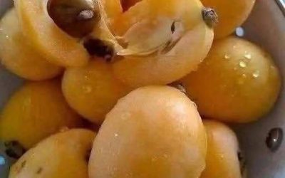Vse življenje se poskušam spomniti imena tega sadja.