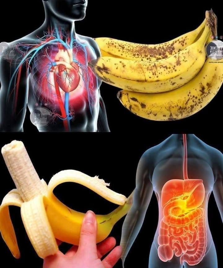 Ali ste vedeli, da uživanje banan poveča… Več o tem