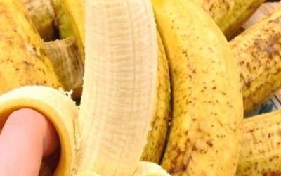 Kako lahko vsakodnevno uživanje banane podpira zdravo življenje po 50. letu