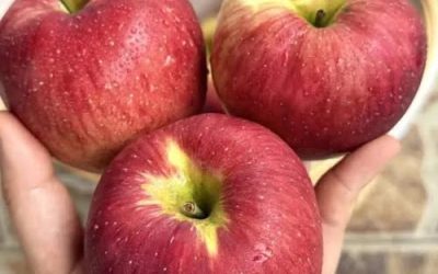 Artsen onthullen dat het eten van een appel elke avond de volgende gevolgen heeft…
