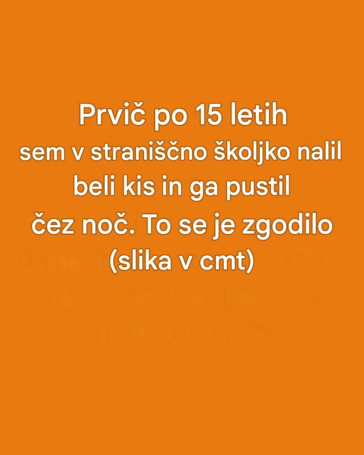 Prvič po 15 letih sem v straniščno školjko nalil beli kis in ga pustil čez noč. To se je zgodilo.