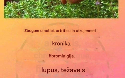 To je pravi "božji čaj", saj zdravi artritis, lupus, omotico, težave s ščitnico in kronično utrujenost.