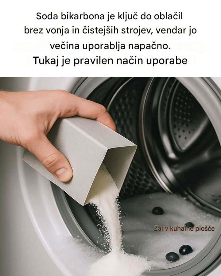 Nisem imel pojma