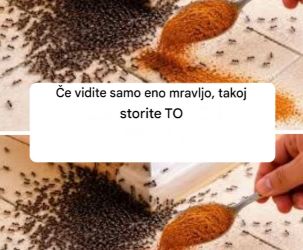 Si vous voyez seulement 1 fourmi, faites CECI immédiatement