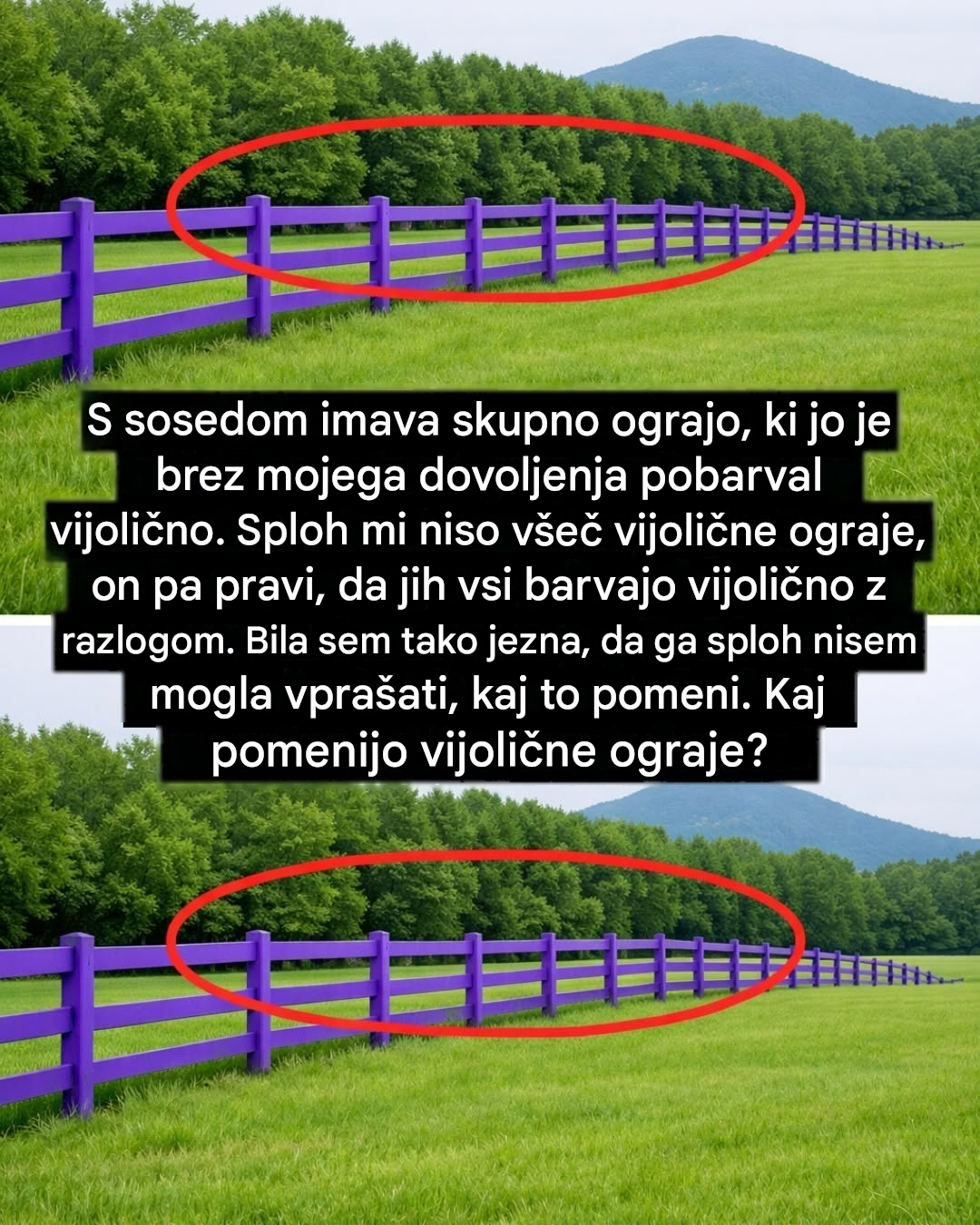 Če opazite vijolično ograjo ali oznako na drevesu – takoj prenehajte. Kaj to v resnici pomeni.