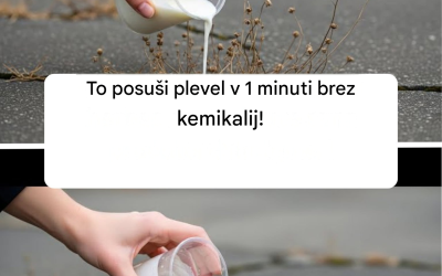 To posuši plevel v 1 minuti brez kemikalij!